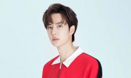 娱乐大瓜爆料傅小姐百度云,娱乐大瓜揭露背后真相