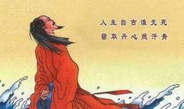 文天祥最新爆料,揭秘历史真相与个人传奇